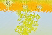New Holland reflection Photograph by Merle Grenz