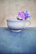 New Life For An Old Coffee Cup Photograph by Priska Wettstein New Life For An Old Coffee Cup Photograph by Priska Wettstein