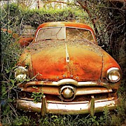 Ford at Rest Photograph by Terry Rowe