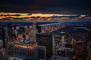 New York Gold Photograph by Neil Shapiro