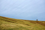 Newark Reservoir #04541 Photograph by Raymond Magnani