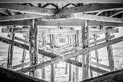 Newport Beach Pier Black and White Photo Photograph by Paul Velgos