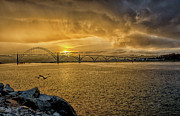 Newport Morning Photograph by Bill Posner