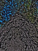 Night or Day in the Woods Digital Art by Vincent Green