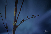 Nightfall Photograph by Jackson Pearson Nightfall Photograph by Jackson Pearson