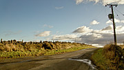 No-end Road Photograph by Elena Perelman No-end Road Photograph by Elena Perelman