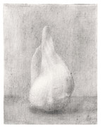 North Carolina shell #1 Drawing by Jacob Dudley North Carolina shell #1 Drawing by Jacob Dudley