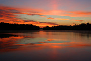 NorthWoods Tranquility Photograph by Brook Burling