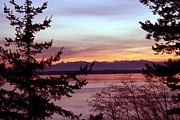 Oak Harbor Sunset 1016 Photograph by Mary Gaines