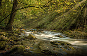 Oconaluftee River Photograph by David Morefield Oconaluftee River Photograph by David Morefield
