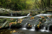 October In The Smokies Photograph by Michael Eingle