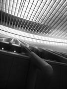 Oculus Abstract Photograph by Jessica Jenney