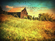 Ohio Barn Series Digital Art by Krista Droop