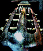 Old Companion Photograph by Rory Siegel