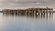 Old Dock Photograph by Tony Locke