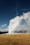 Old Faithful Photograph by Norman Reid