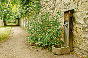 Old Garden Tap Photograph by Elena Perelman