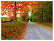 Old Road to Scotsdale Farm Photograph by Jonathan Baldock