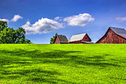 On The Farm Photograph by Pete Federico