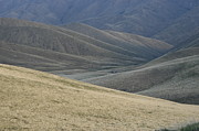 On The Way To Bakersfield Photograph by DArcy Evans On The Way To Bakersfield Photograph by DArcy Evans