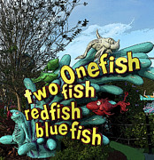 One Fish Two Fish Photograph by Aimee L Maher ALM GALLERY One Fish Two Fish Photograph by Aimee L Maher ALM GALLERY