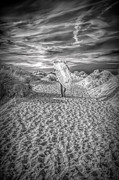 One Last Ride Photograph by Bill Posner
