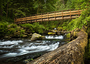 Oneonta Creek Crossing Photograph by Jon Ares