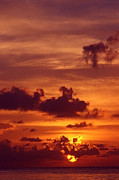 Orange Sunset Photograph by Sven Brogren