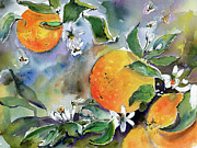 Oranges Blossoms and Bees Watercolor Painting by Ginette Callaway