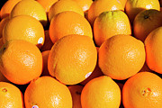 Oranges Photograph by Daniel Murphy