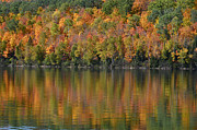 Ottawa National Forest Photograph by Dan Hefle