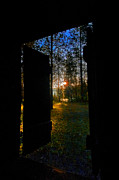 Out of the Darkness Photograph by Loni Collins