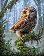 Owl Perch Mixed Media by Phil Jaeger