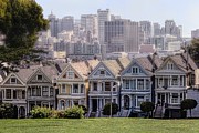 Painted Ladies Of Alamo Square Photograph by Mary Lou Chmura