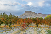 Palisade Fall Photograph by Jeff Stoddart Palisade Fall Photograph by Jeff Stoddart