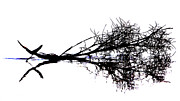 Palm Branch at the Beach Photograph by Lawrence S Richardson Jr