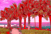 Palms in Red Photograph by Debra Martz Palms in Red Photograph by Debra Martz