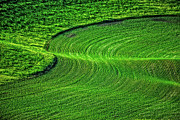 Palouse S Photograph by Ed Broberg