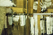 Panamanian Texture No.4 Photograph by Jessica Levant