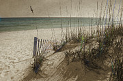 Panhandle Sand Photograph by Ron Long