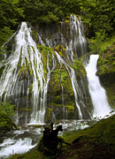 Panther Creek Falls Photograph by Jon Ares