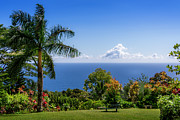 Paradise Picnic Photograph by Daniel Murphy