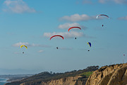 Paragliders at Torrey Pines Gliderport Photograph by David Levin