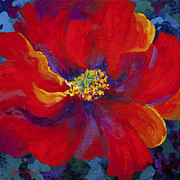 Passion - Red Poppy Painting by Marion Rose