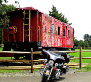 Past and Present on Opposite Sides of the Fence Photograph by Linda Stern