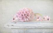 Pastel Pink Hyacinth Photograph by Kim Hojnacki Pastel Pink Hyacinth Photograph by Kim Hojnacki