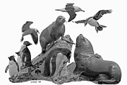 Patagonian Wildlife Photograph by Larry Linton