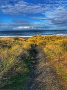Path to the Beach Photograph by Bonnie Bruno Path to the Beach Photograph by Bonnie Bruno