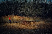 Pathway Photograph by Frank J Casella