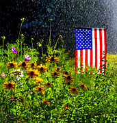 Patriotic Garden Photograph by Brian Tada